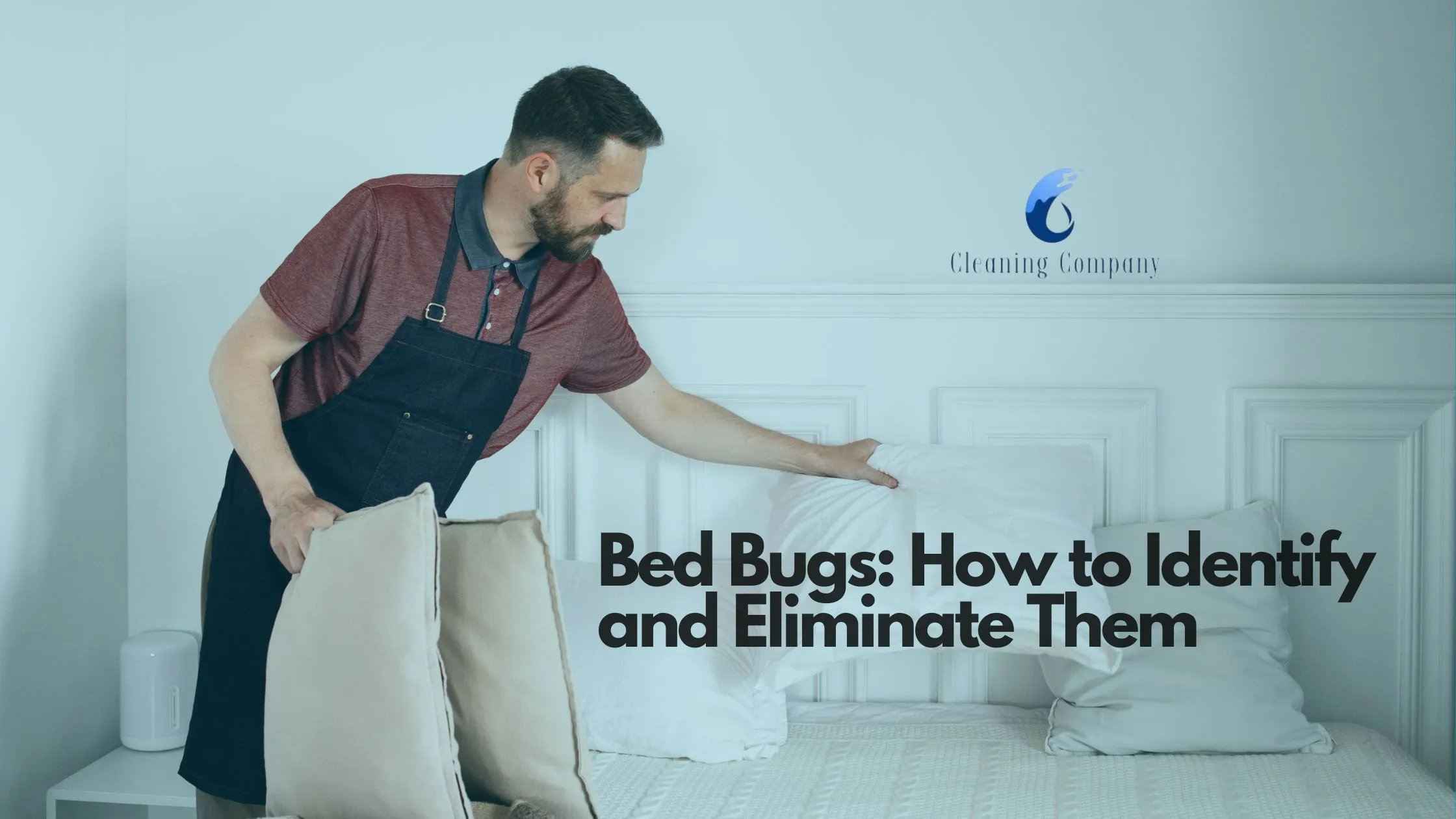 Bed Bugs: How to Identify and Eliminate Them