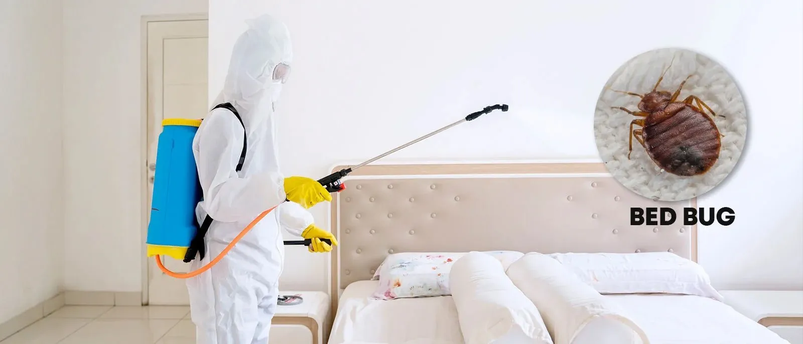 bed bug control in qatar