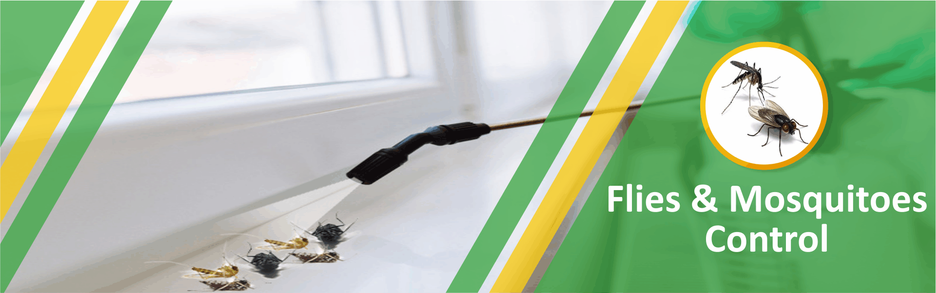 Flies Control Services in Doha, Qatar