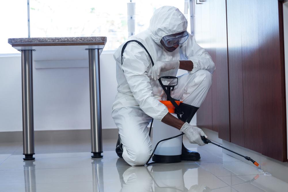 fumigation services in qatar