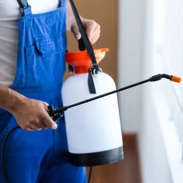 cleaning companies in Qatar