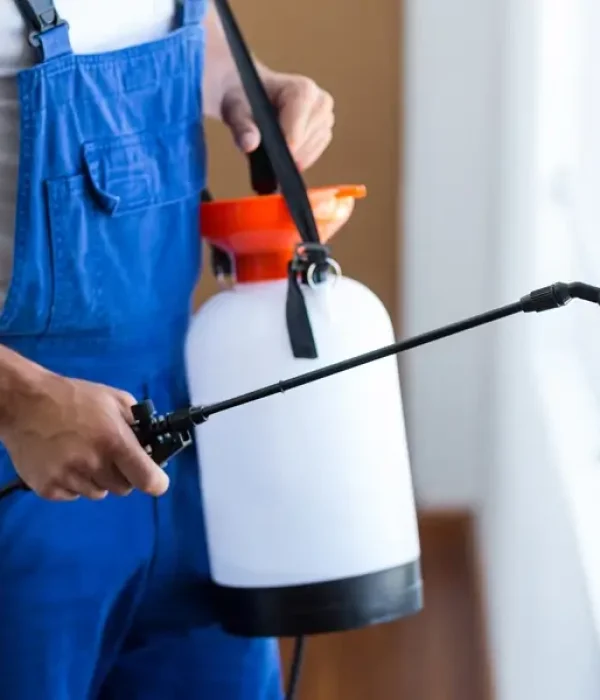 cleaning companies in Qatar